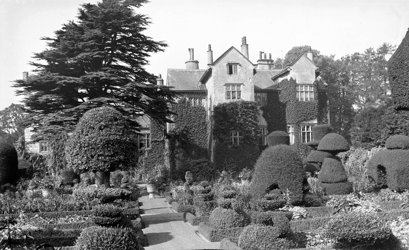 Levens Hall topiary 1930