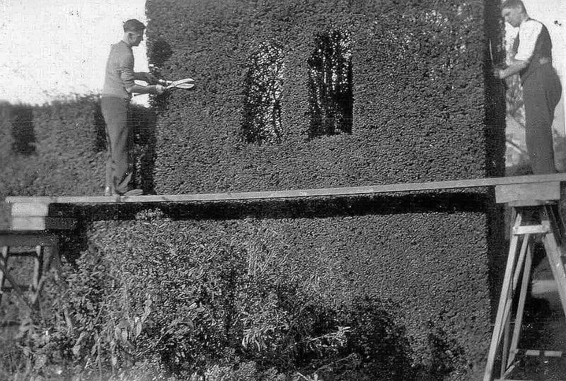 Levens Hall topiary cutting 1930