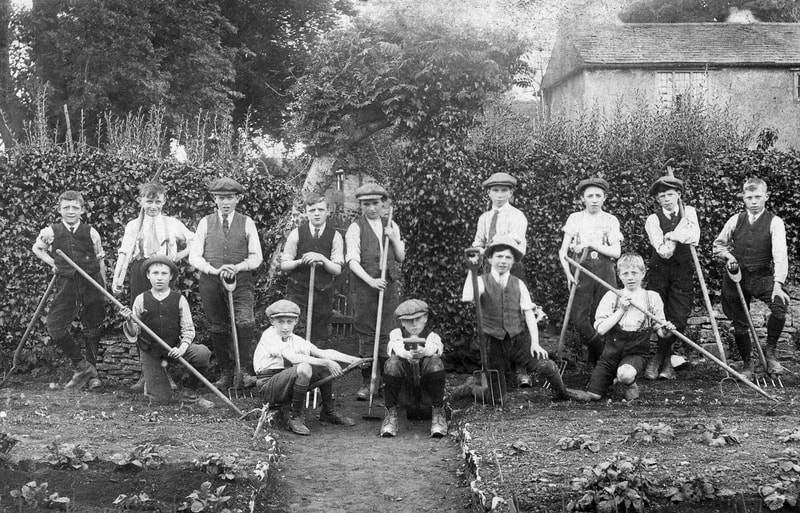 Levens School garden 1917