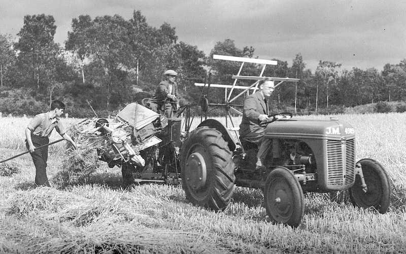 Mr Strickland driving tractor c1940