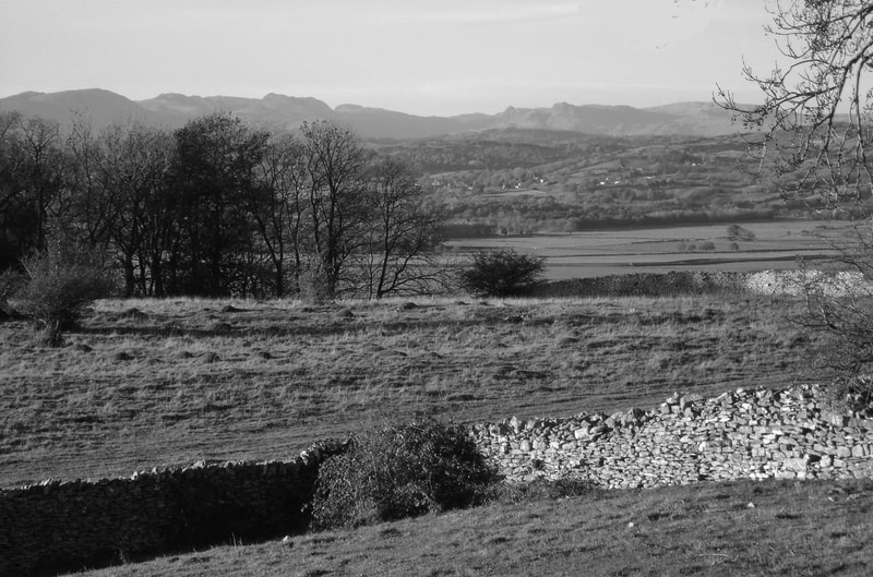 Romano-British settlement Sizergh Fell